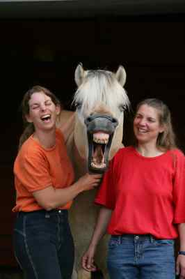 Konik2.jpg