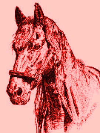 obrazek02.jpg